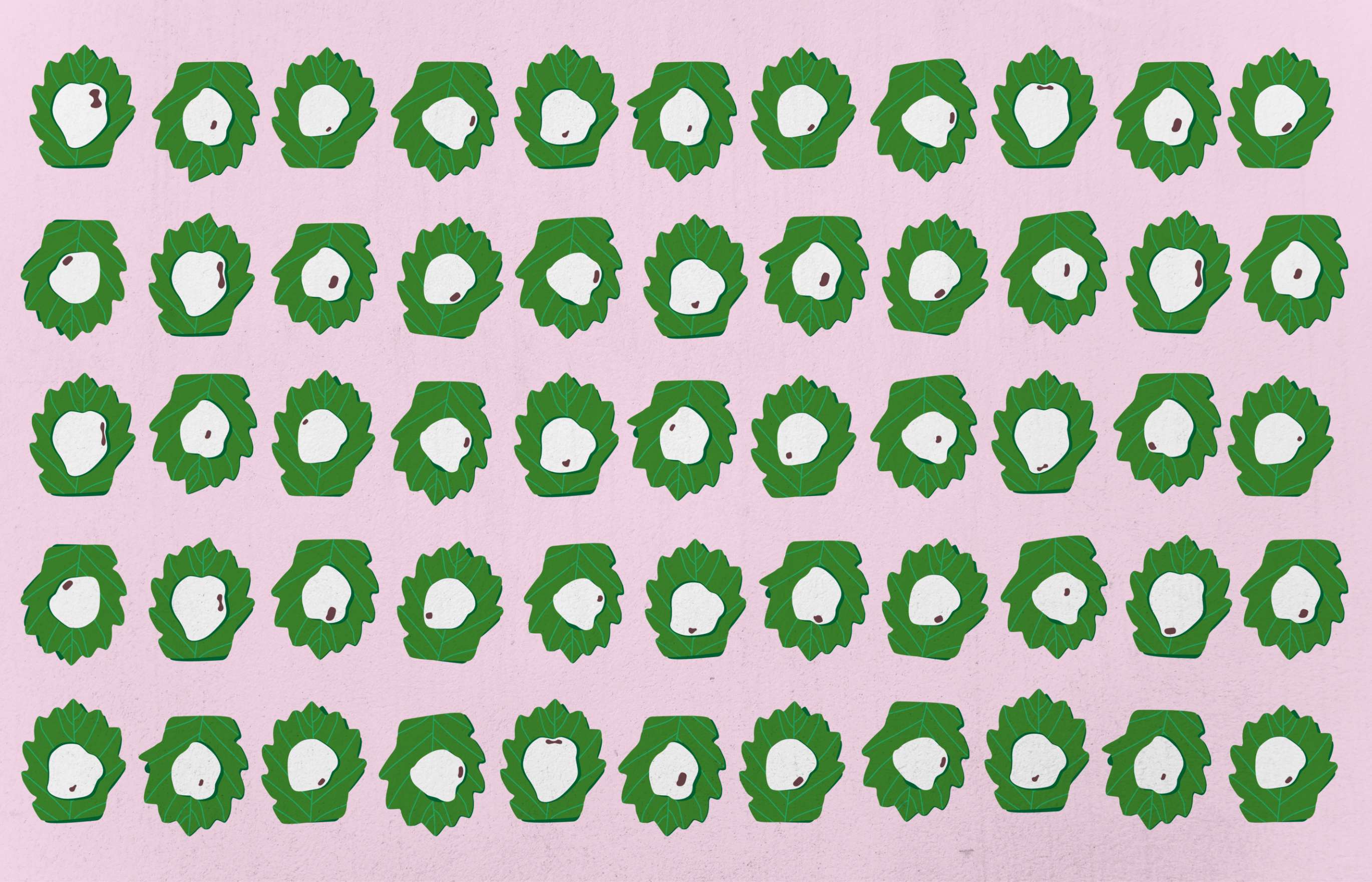 An illustration of five rows of green leaf-like shapes, on a light pink field, each with an irregular white blob, punctuated with a bean-like dot.