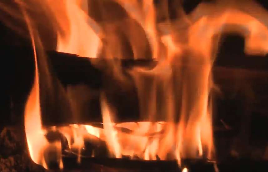 A close-up view of flames from a bonfire burning.